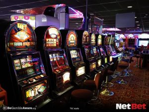 pegasopg - Slot Oficial Fácil